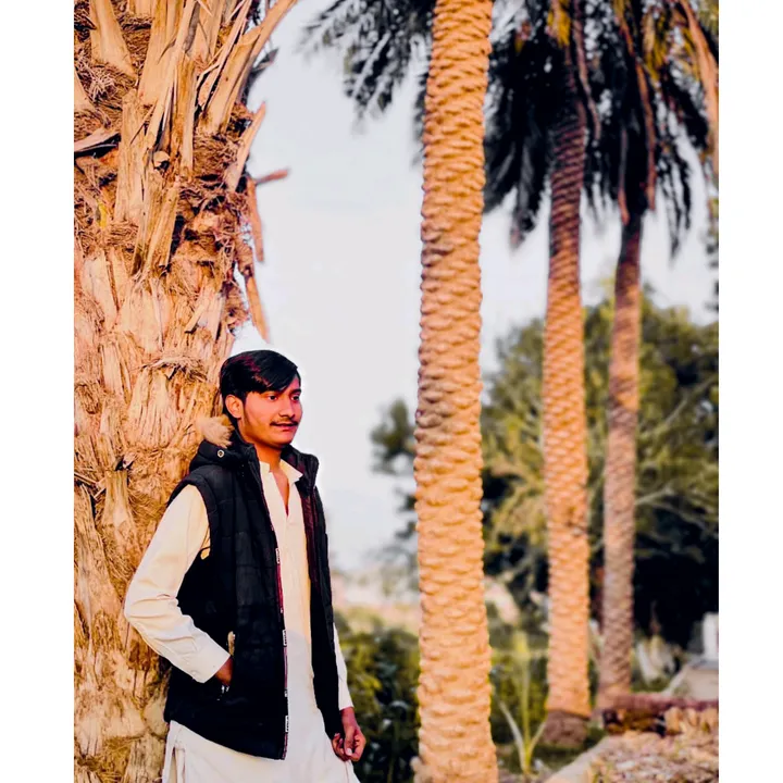 mubashirshaikh3341