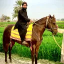 @moeen.ali.moeena