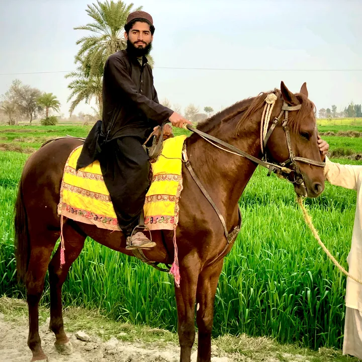 @moeen.ali.moeena