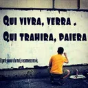 @colza225