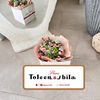 toleen_a102