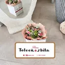 @toleen_a102