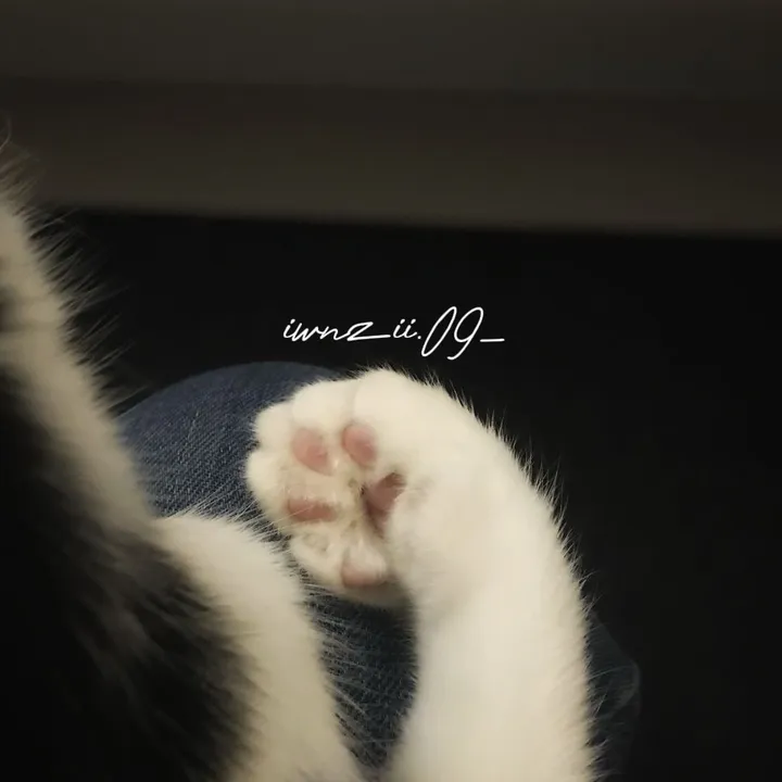@iiwnzii.09