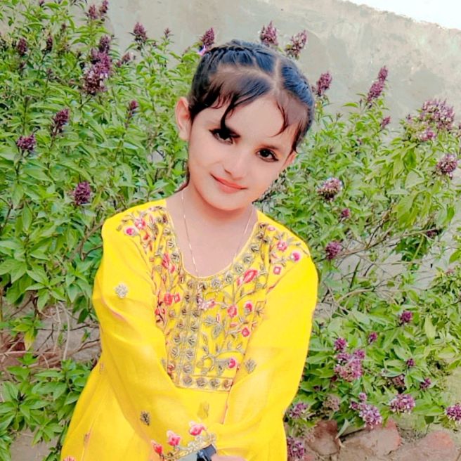 Bakht Official 🙂 - original sound