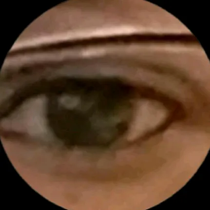 @dyc24cvhq0al