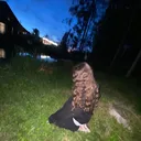 @poolinchikk