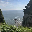 @toranoko007