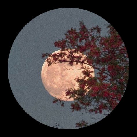 𝕽𝖆𝖚𝖋 𝕰𝖉𝖎𝖙𝖘🌕 - original sound