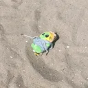 @tumbalperaya