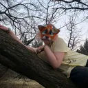 @diksi_kvd