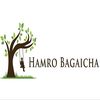 hamrobagaicha