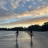 milliejj_spam