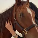 @aamm.3131
