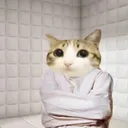 @fatmanurcelebi_