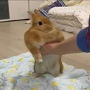 @imyourp3ach