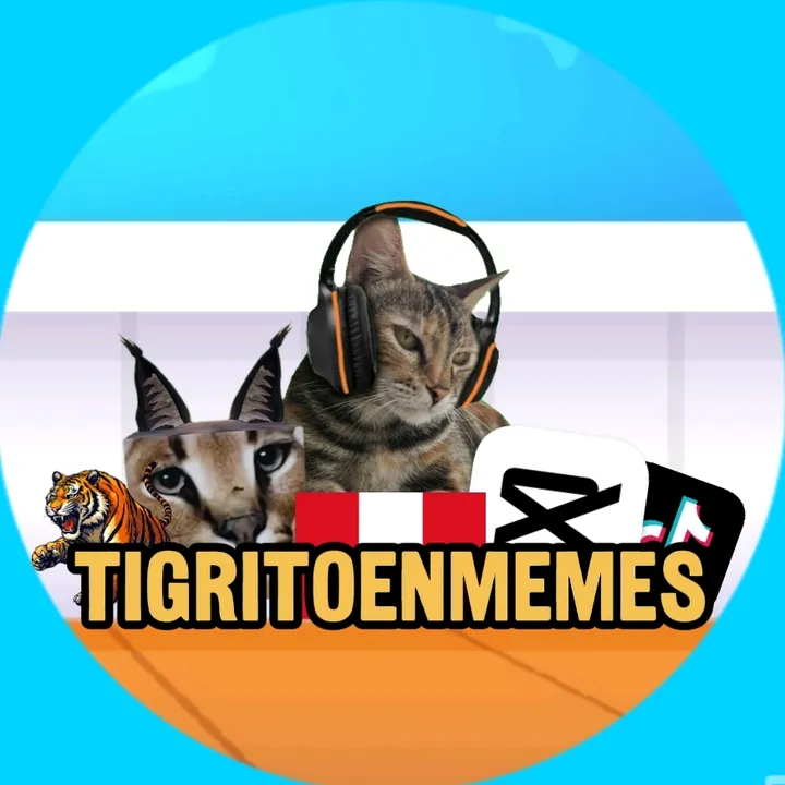 @tigritoenmemes
