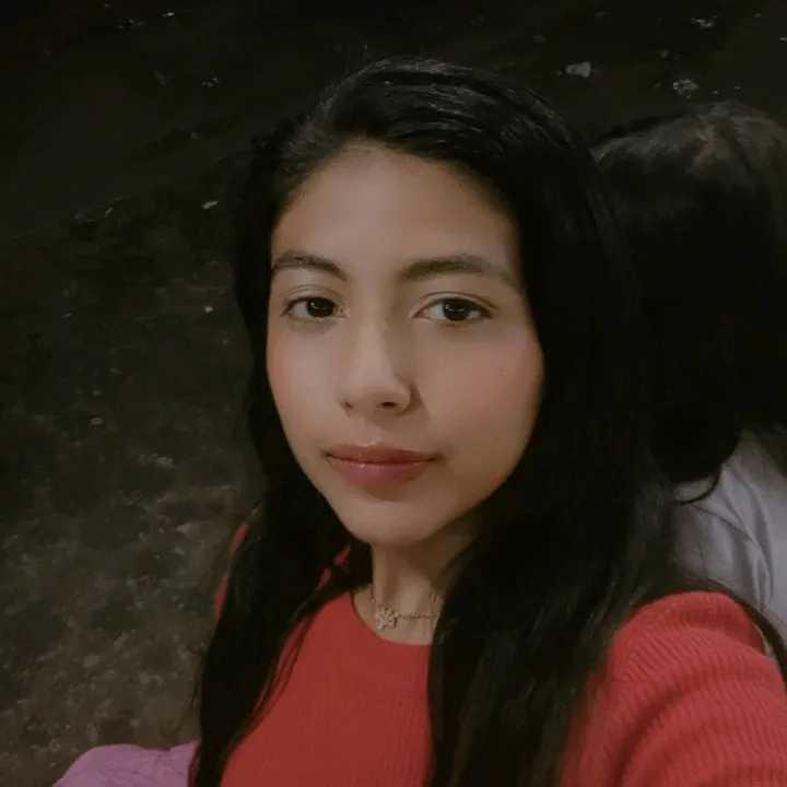 alondraarcebenites