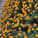 @prvtnar4a_