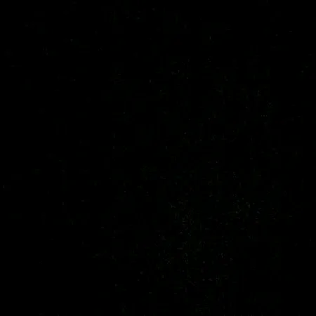@fvckbd