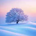 @user26269454941313