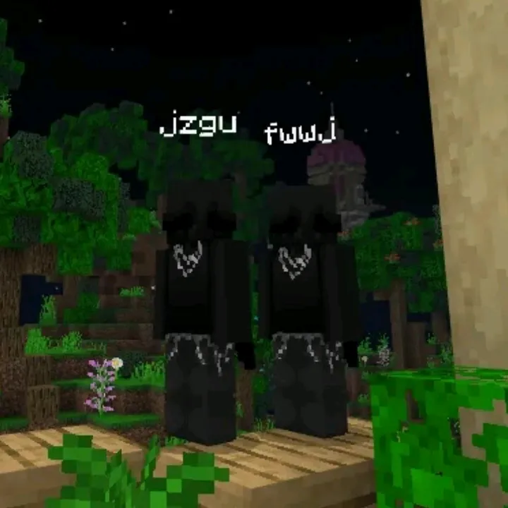 dcfwwj