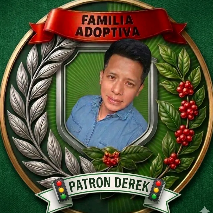31derek3