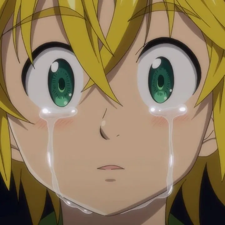 @meliodas.318