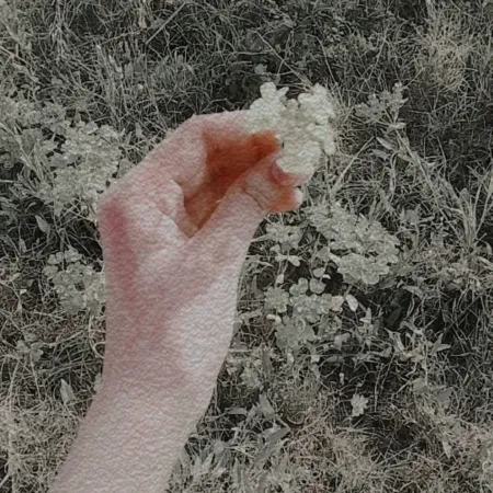 @mano099952