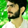 hamzabaloch8198