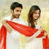 shayri592