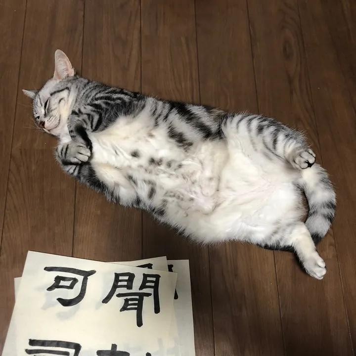 kakikata.japan