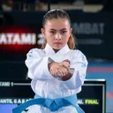 @emakaratedo