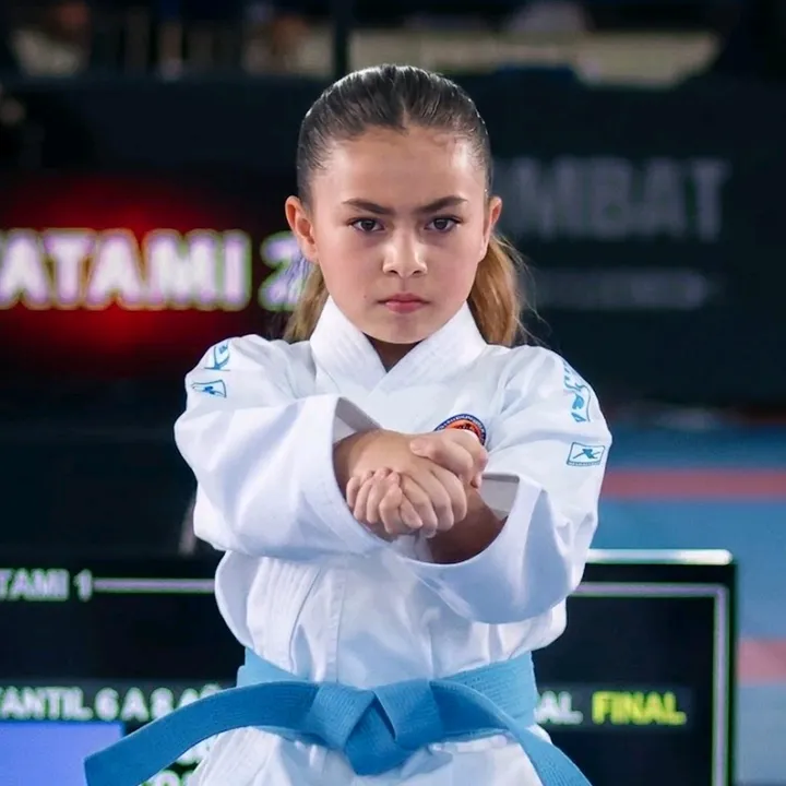 @emakaratedo
