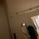 @ffsbernice