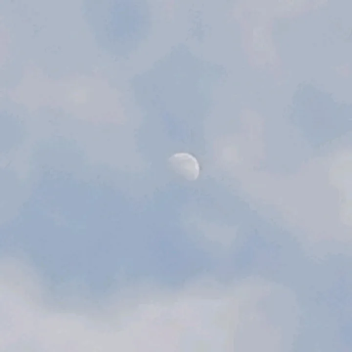 raim20150101