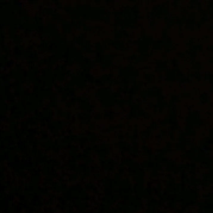 floowrey2