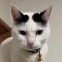 @madpwgdtdjmgwpdtmjdhwpdd