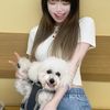 qing_416