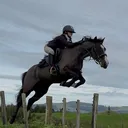 @rubi_andthe2iconicponies