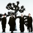 @plastictree_official