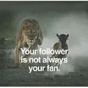@ak_naif
