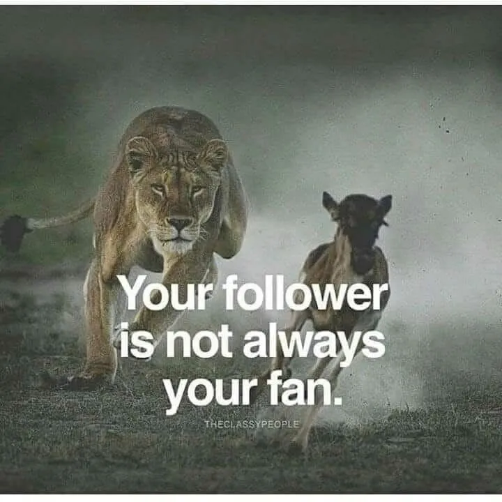 @ak_naif