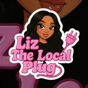 @yourlocalplugger