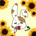 @micchan1012