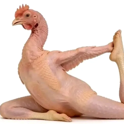 @ramjeeek