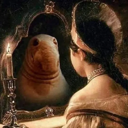 wwwwqjjjj