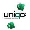 excel_with_uniqo