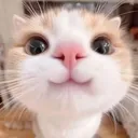 @margo_rechkina