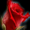 @janu7380