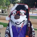 @jabuhusky